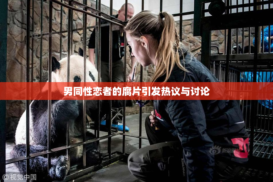 男同性恋者的腐片引发热议与讨论