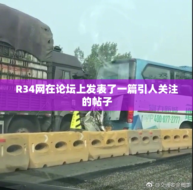 R34网在论坛上发表了一篇引人关注的帖子