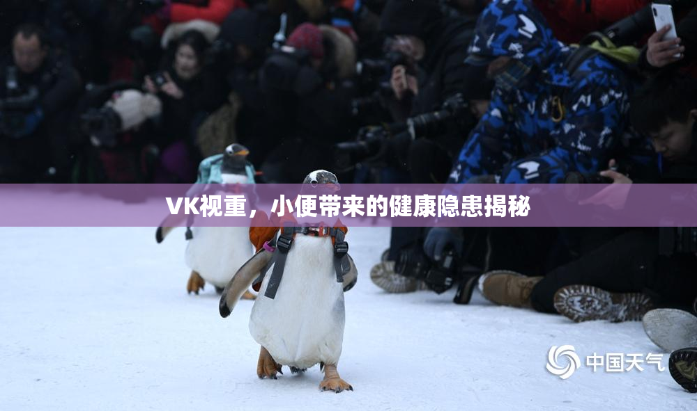 VK视重，小便带来的健康隐患揭秘