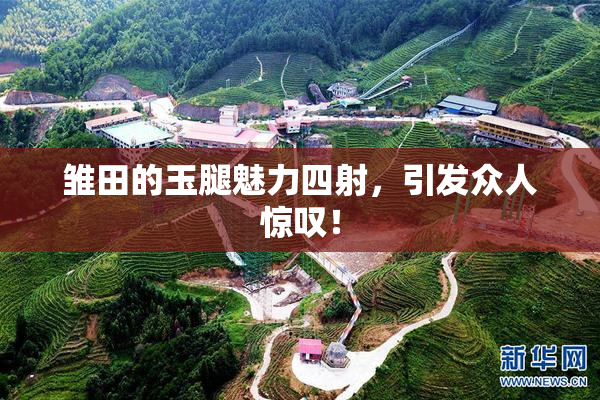 雏田的玉腿魅力四射，引发众人惊叹！