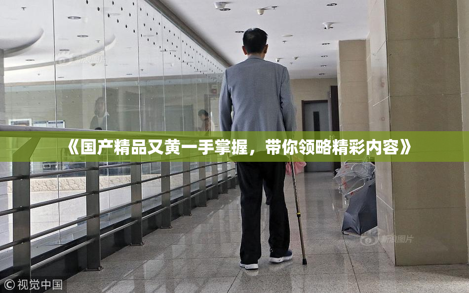 《国产精品又黄一手掌握，带你领略精彩内容》