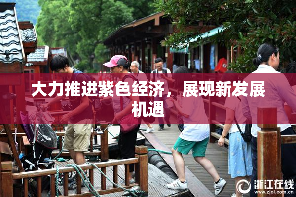 大力推进紫色经济，展现新发展机遇