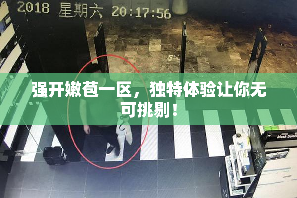 强开嫩苞一区，独特体验让你无可挑剔！