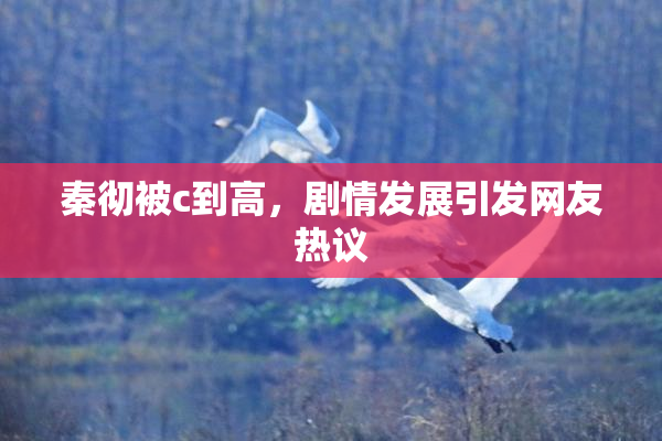 秦彻被c到高，剧情发展引发网友热议