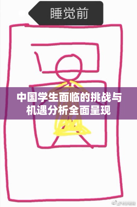 中国学生面临的挑战与机遇分析全面呈现