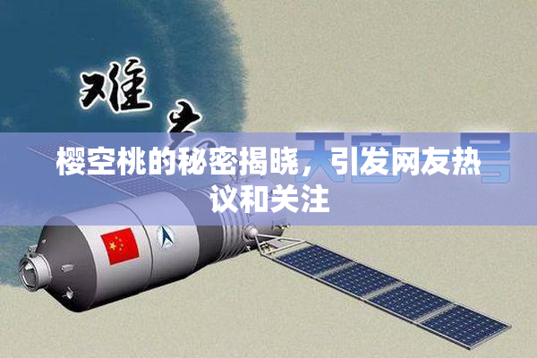 樱空桃的秘密揭晓，引发网友热议和关注