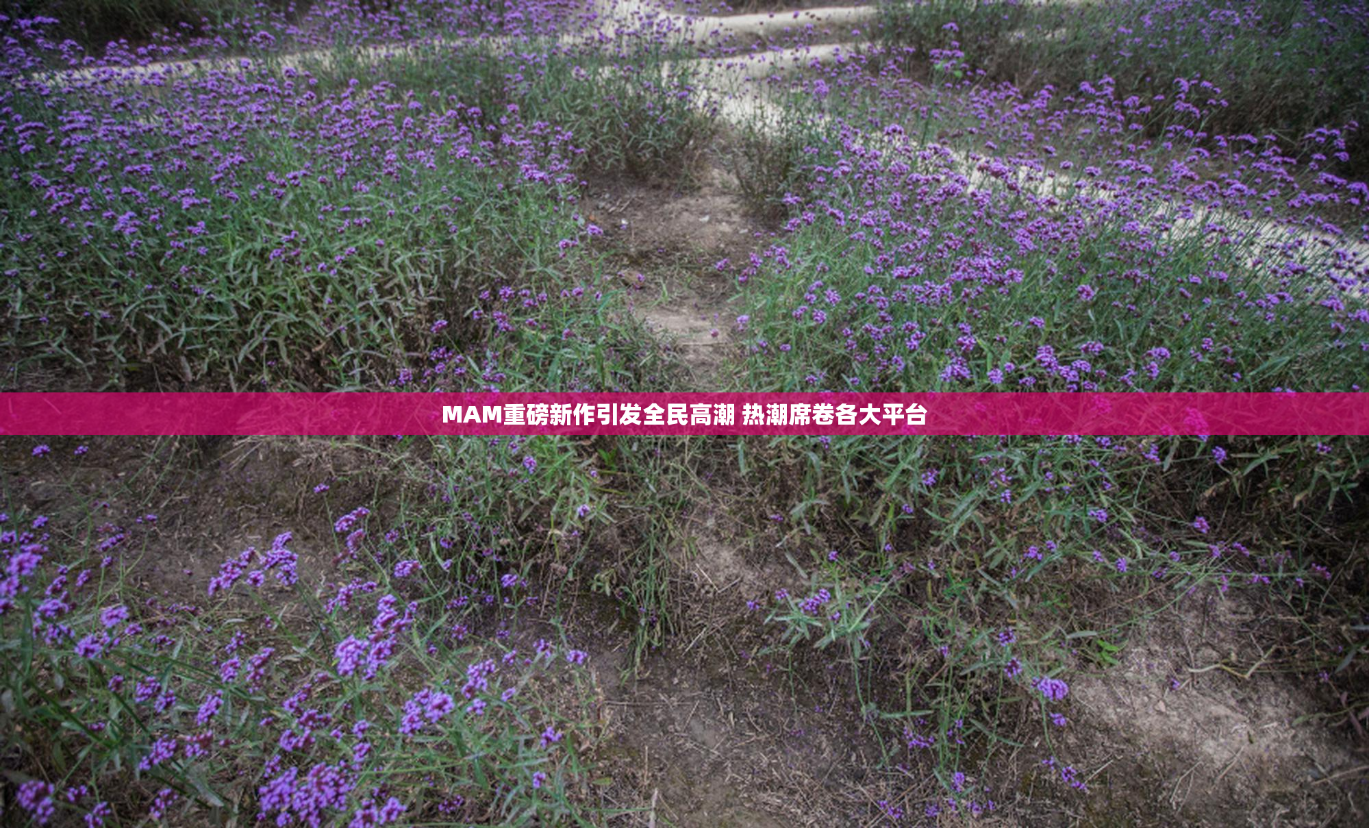MAM重磅新作引发全民高潮 热潮席卷各大平台