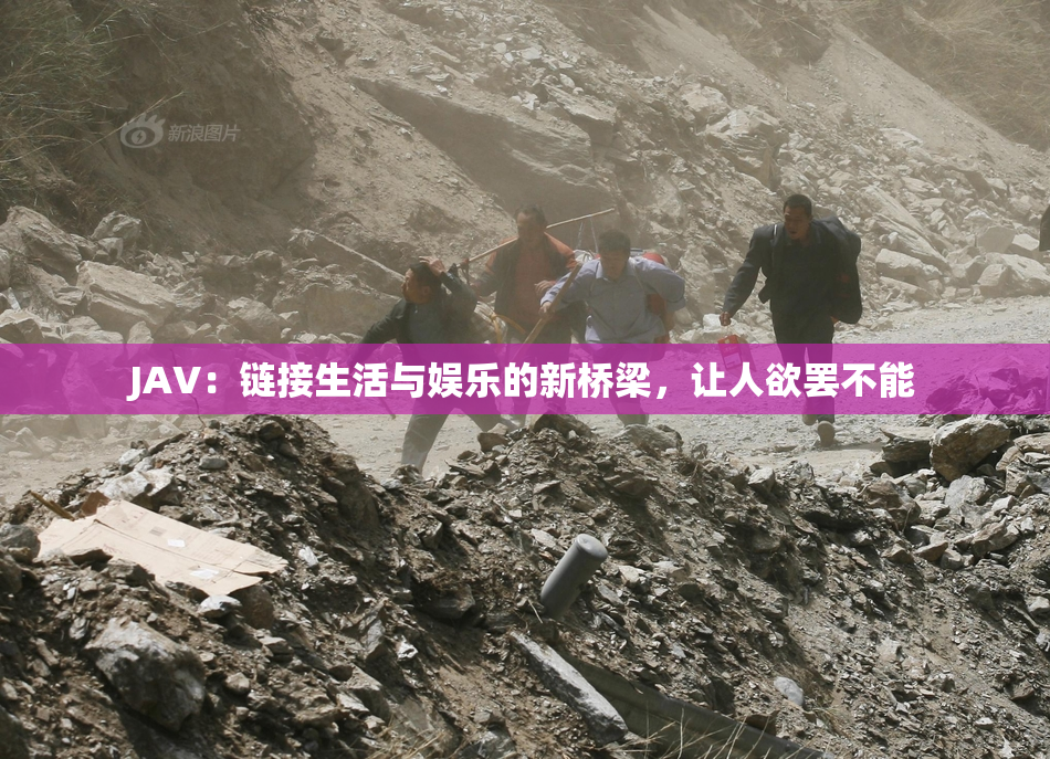 JAV：链接生活与娱乐的新桥梁，让人欲罢不能