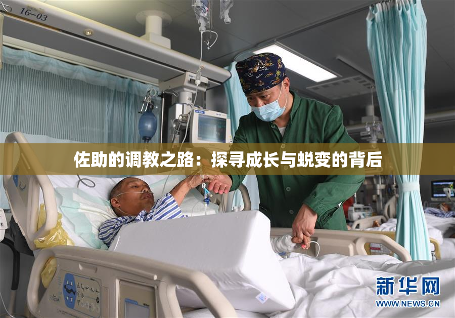 佐助的调教之路：探寻成长与蜕变的背后