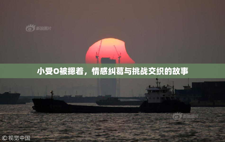 小受O被摁着，情感纠葛与挑战交织的故事