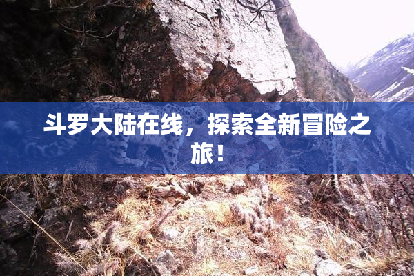 斗罗大陆在线，探索全新冒险之旅！