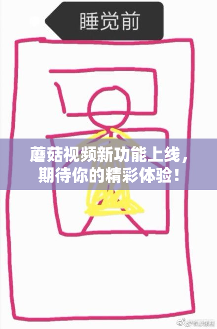 蘑菇视频新功能上线，期待你的精彩体验！