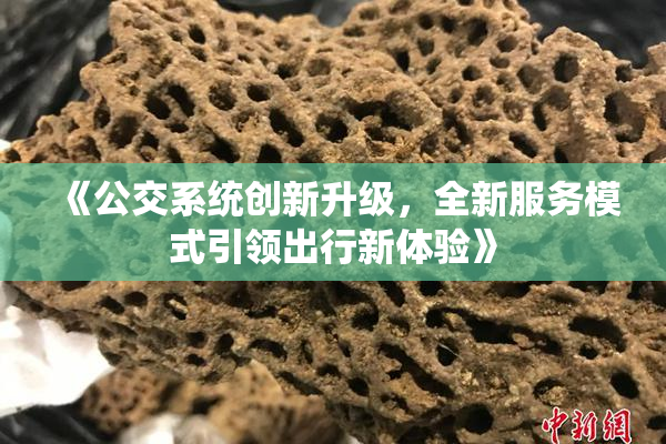 《公交系统创新升级，全新服务模式引领出行新体验》