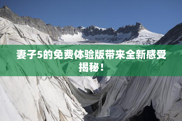妻子5的免费体验版带来全新感受揭秘！