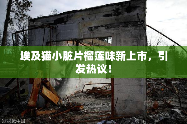 埃及猫小脏片榴莲味新上市，引发热议！