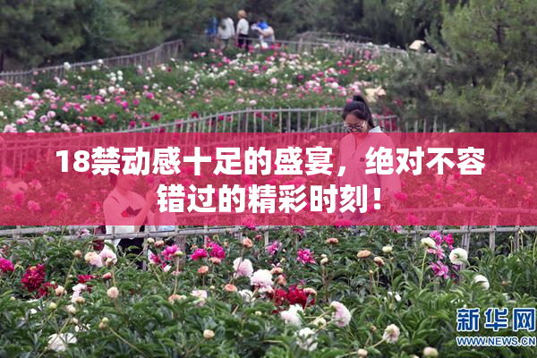 18禁动感十足的盛宴，绝对不容错过的精彩时刻！