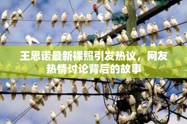 王思诺最新裸照引发热议，网友热情讨论背后的故事