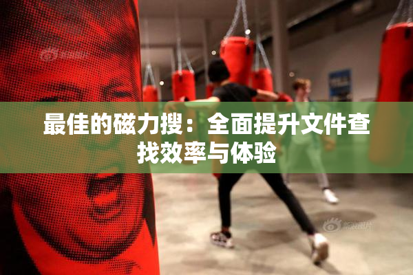 最佳的磁力搜：全面提升文件查找效率与体验