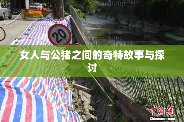 女人与公猪之间的奇特故事与探讨