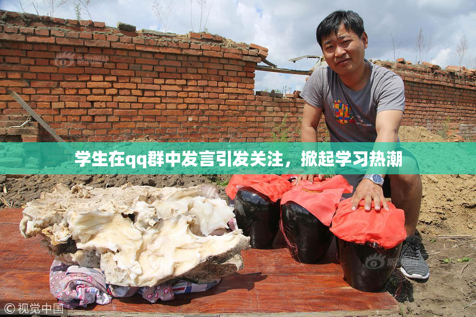 学生在qq群中发言引发关注，掀起学习热潮