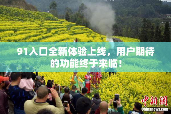 91入口全新体验上线，用户期待的功能终于来临！