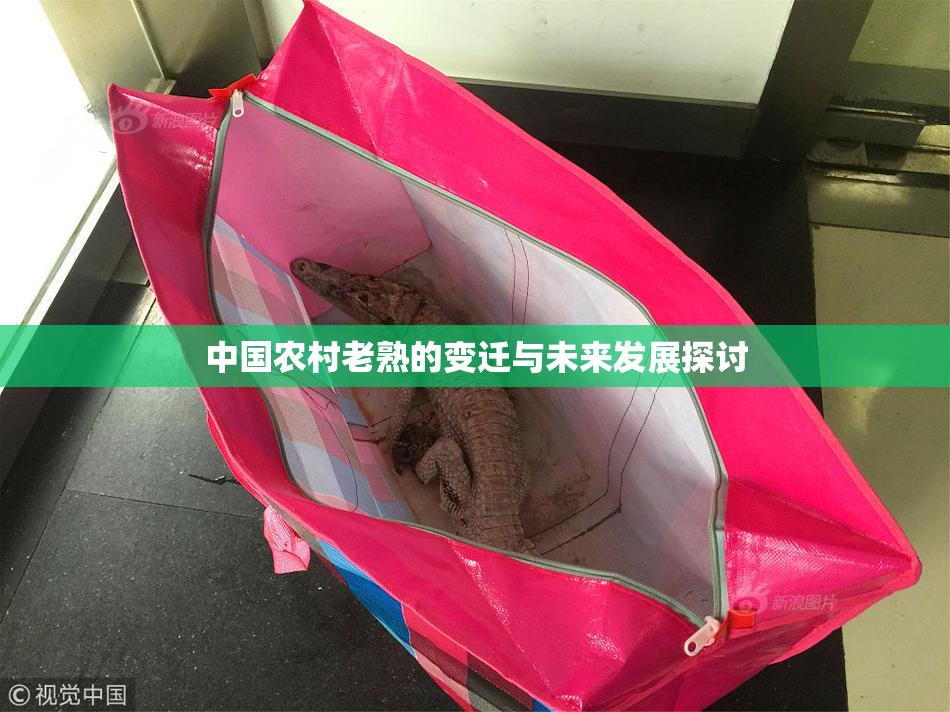 中国农村老熟的变迁与未来发展探讨