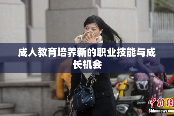 成人教育培养新的职业技能与成长机会
