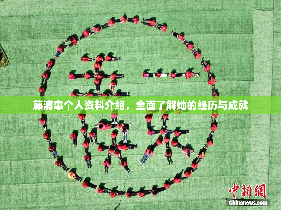 藤浦惠个人资料介绍，全面了解她的经历与成就