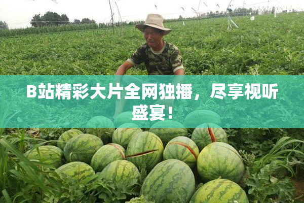 B站精彩大片全网独播，尽享视听盛宴！