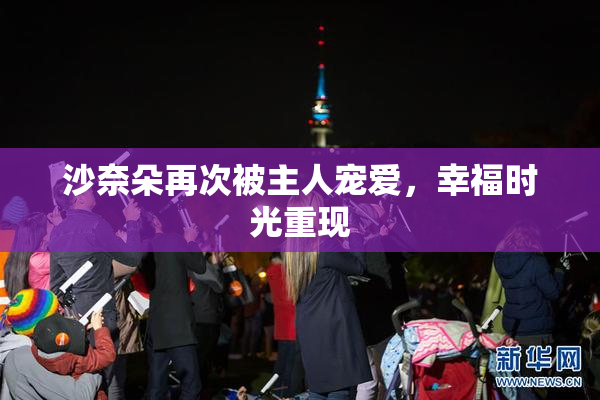 沙奈朵再次被主人宠爱，幸福时光重现