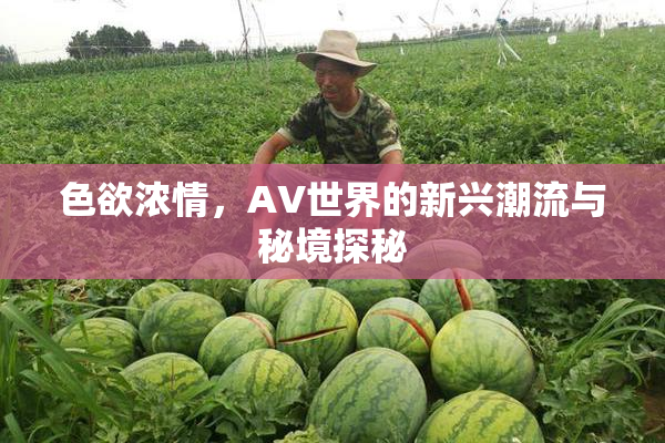 色欲浓情，AV世界的新兴潮流与秘境探秘