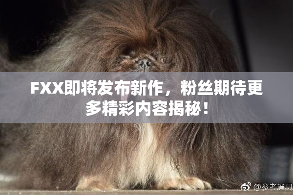 FXX即将发布新作，粉丝期待更多精彩内容揭秘！