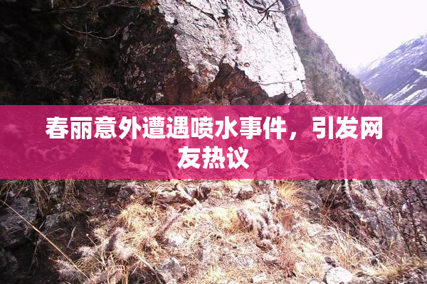 春丽意外遭遇喷水事件，引发网友热议