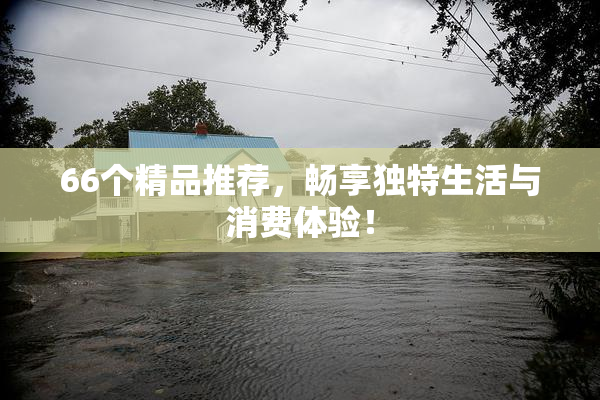 66个精品推荐，畅享独特生活与消费体验！
