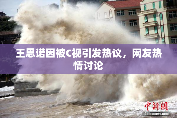 王思诺因被C视引发热议，网友热情讨论