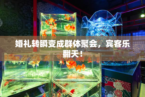 婚礼转瞬变成群体聚会，宾客乐翻天！