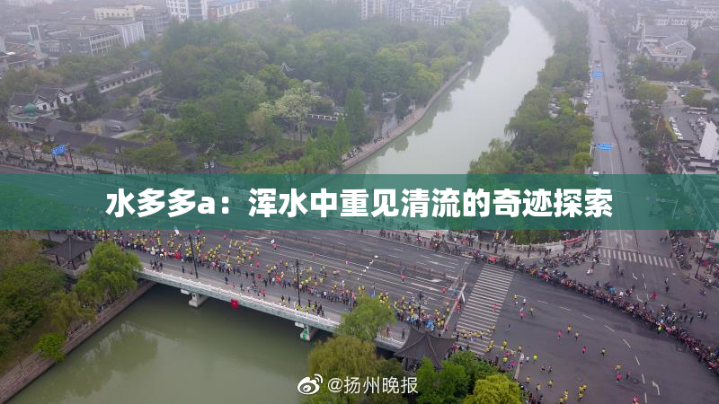 水多多a：浑水中重见清流的奇迹探索