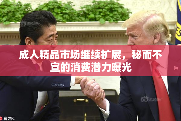 成人精品市场继续扩展，秘而不宣的消费潜力曝光
