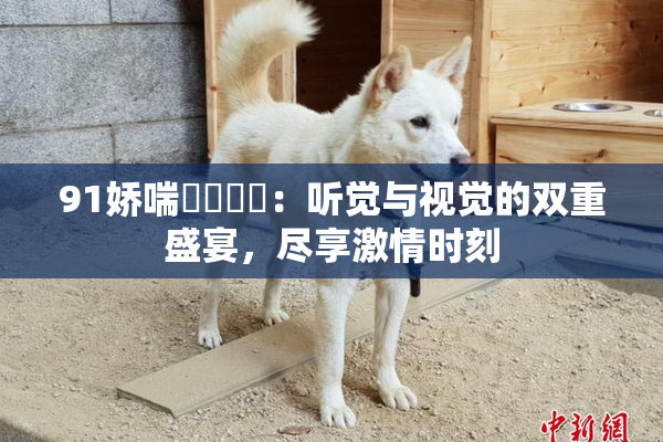 91娇喘❌‌❌‌：听觉与视觉的双重盛宴，尽享激情时刻