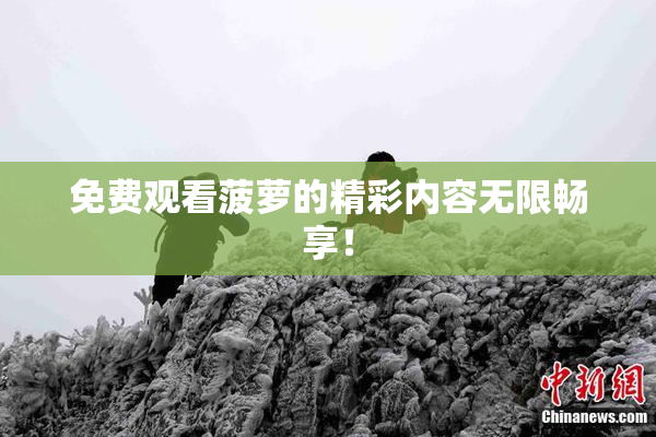 免费观看菠萝的精彩内容无限畅享！