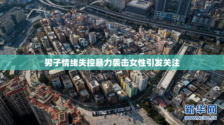 男子情绪失控暴力袭击女性引发关注
