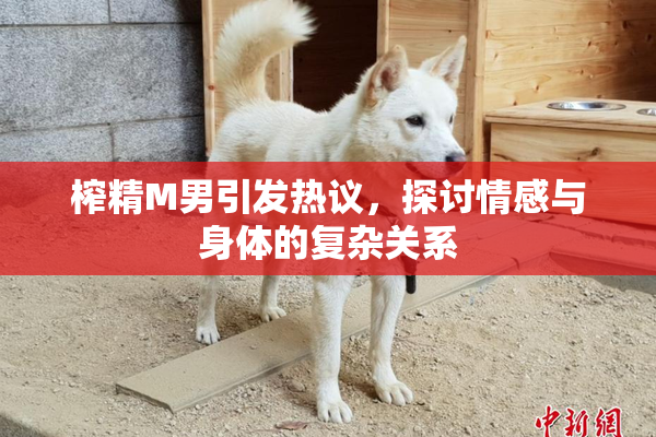 榨精M男引发热议，探讨情感与身体的复杂关系