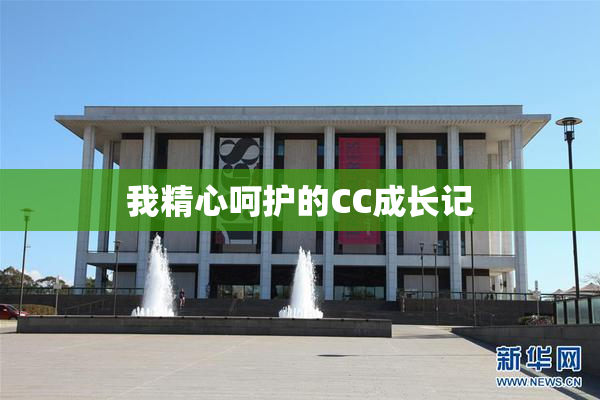 我精心呵护的CC成长记
