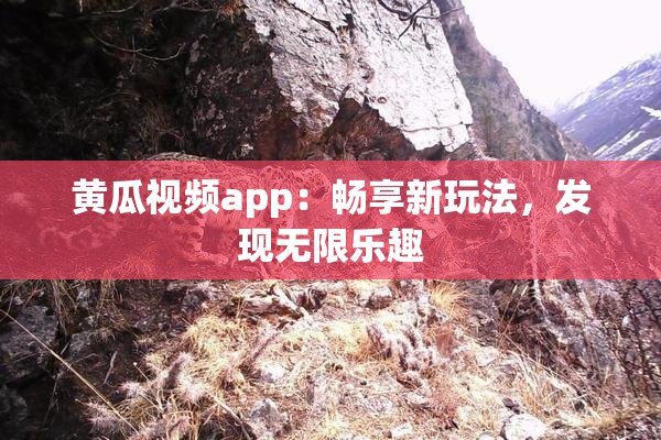 黄瓜视频app：畅享新玩法，发现无限乐趣