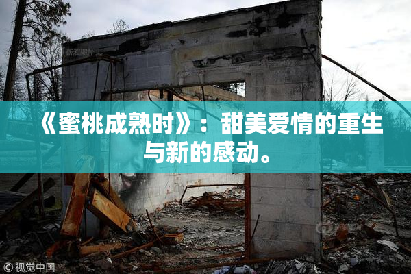 《蜜桃成熟时》：甜美爱情的重生与新的感动。