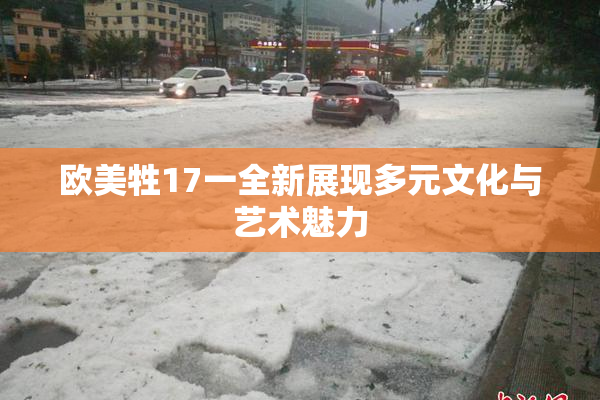 欧美牲17一全新展现多元文化与艺术魅力