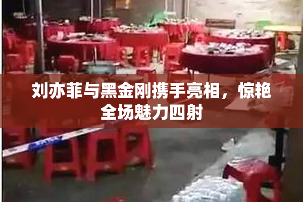 刘亦菲与黑金刚携手亮相，惊艳全场魅力四射
