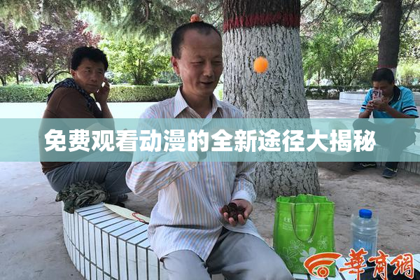 免费观看动漫的全新途径大揭秘