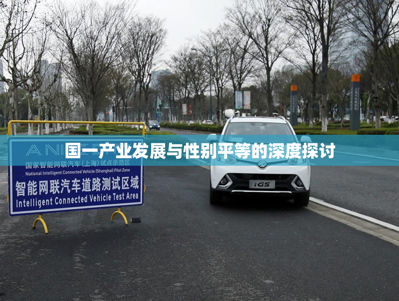 国一产业发展与性别平等的深度探讨