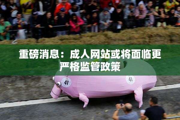 重磅消息：成人网站或将面临更严格监管政策